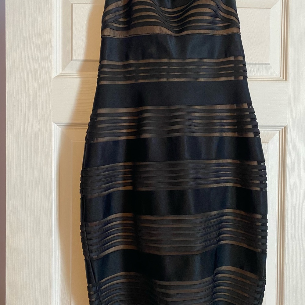 Cache Elegant Black and Tan Striped Dress